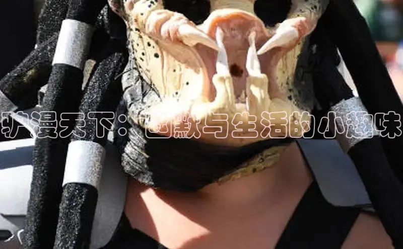 驴漫天下：幽默与生活的小趣味